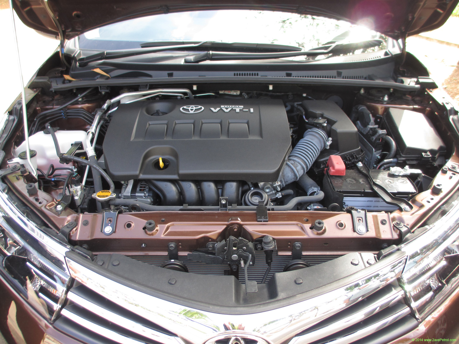 Altis 2014 -384